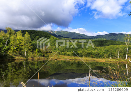 Autumn scenery of the Norikura mountain range reflected on the mirror-like surface of Maimenoike Pond in Norikura Highlands 135206609