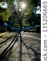陽光透過樹林灑滿的公園 135206665