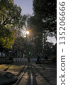 下午的公園下午 135206666