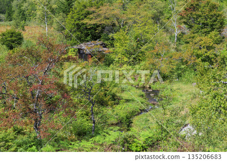 An early autumn scene of an old mountain hut and stream nestled in the forest of Norikura Plateau (Matsumoto City, Nagano Prefecture) An early autumn scene of an old mountain hut and stream nestled in the forest of Norikura Plateau (Matsumoto City, Nagano Prefecture) 135206683