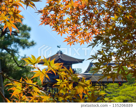 平安神宮東庭太平閣與秋葉 平安神宮東庭太平閣與秋葉 135206889
