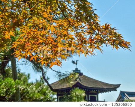 平安神宮東庭太平閣與秋葉 平安神宮東庭太平閣與秋葉 135206890