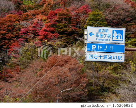 Autumn leaves at Fusegasaka Autumn leaves at Fusegasaka 135206928