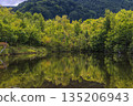 The perfect autumn leaves of the upside-down bushes at Maimenoike Pond in Norikura Highlands (mirror scenery in autumn) 135206943