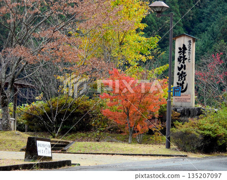 角山街道的秋葉 135207097