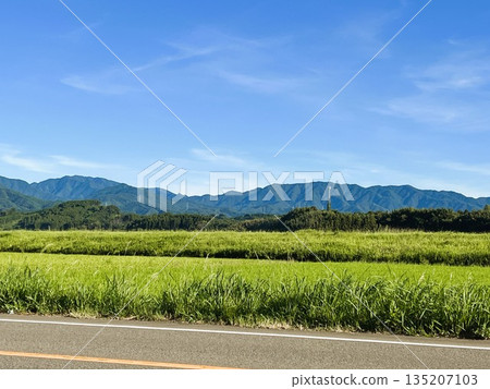 藍天下的日本鄉村 | 綠色的稻田和連綿的山脈 藍天下的日本鄉村 | 綠色的稻田和連綿的山脈 135207103