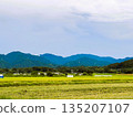 稻田與山巒的鄉村景色 | 日本自然風景 135207107