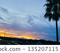 漸層日落的天空與棕櫚樹 | 黃昏時的城市景觀 135207115