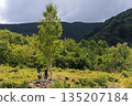 Two young women hiking near Maimenoike Pond in Norikura Highlands. Summer scenery with green mountains. 135207184
