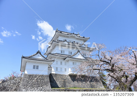 小田原城 135207309