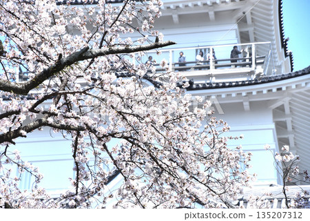 櫻花和城堡 135207312