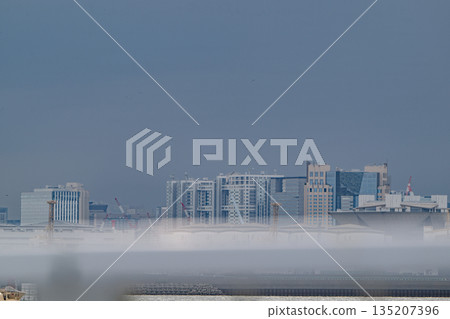 Industrial area along Tokyo Bay, construction cranes and cloudy sky 135207396