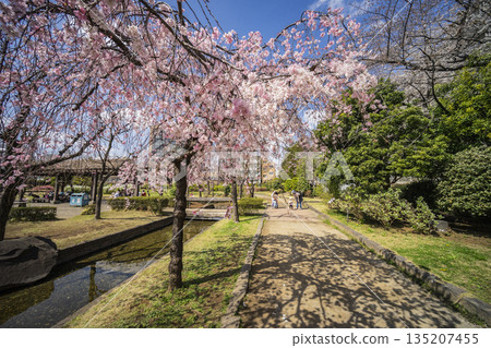 Seseragi no Sato Park, Shinjuku Ward 135207455