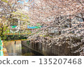 Cherry blossoms along Myoshojikawa River near Nakai Station 135207468