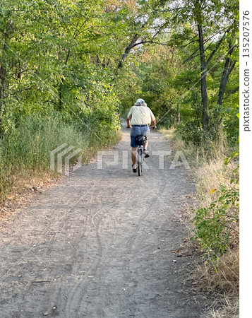 A cyclist on a forest trail surrounded by lush green trees. 135207576