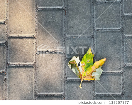 A single leaf on a textured concrete pavement. A single leaf on a textured concrete pavement. 135207577