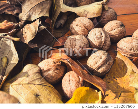 Walnuts among dry leaves on a wooden surface in autumn light. Walnuts among dry leaves on a wooden surface in autumn light. 135207600