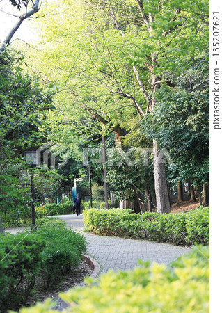 Silkamori no Mori Park 135207621