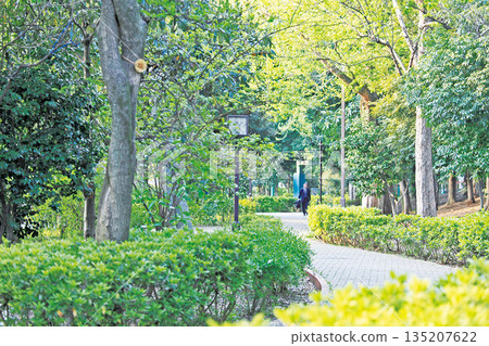 Silkamori no Mori Park Silkamori no Mori Park 135207622