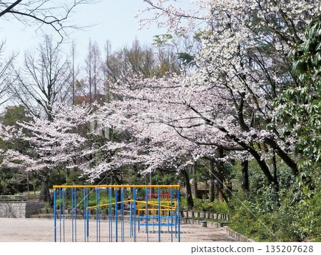 Silkamori no Mori Park 135207628