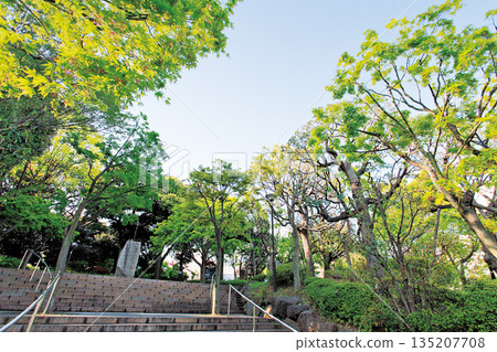 中野區紅葉山公園 135207708