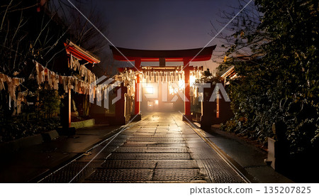 鳥居門亮燈 135207825