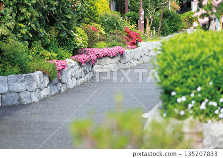 桃園河綠道 桃園河綠道 135207833