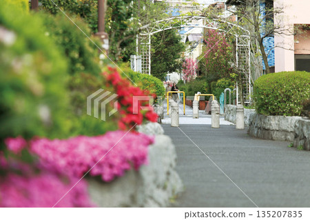 桃園河綠道 桃園河綠道 135207835