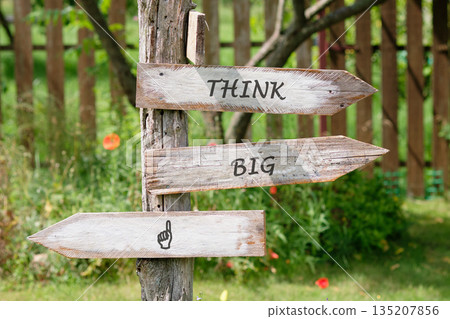 Three weathered signs point in different directions, attached to an old post. One sign reads THINK, another BIG, and the last has a finger pointing up 135207856