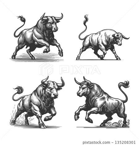 Bull in Dynamic Pose engraving raster collection 135208301