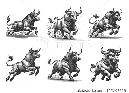 Bull in Dynamic Pose engraving vector collection 135208329