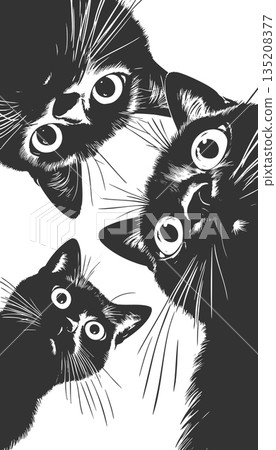 Cute Black Cats Looking Down raster illustration 135208377