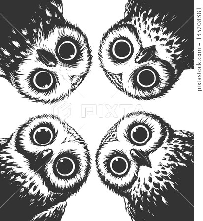 Curious Owls Looking Down engraving sketch raster 135208381