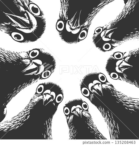 Curious pigeons looking down engraving vector Curious pigeons looking down engraving vector 135208463