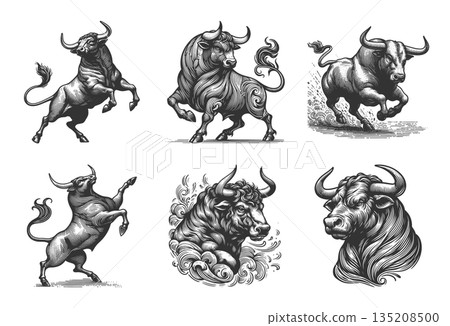 Bull in Dynamic Pose engraving vector collection Bull in Dynamic Pose engraving vector collection 135208500