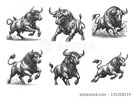Bull in Dynamic Pose engraving vector collection 135208514