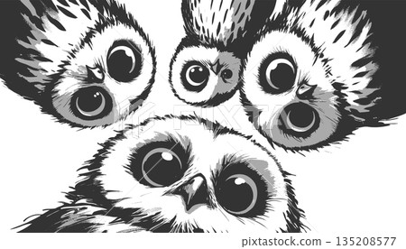 Curious Owls Looking Down engraving sketch raster Curious Owls Looking Down engraving sketch raster 135208577