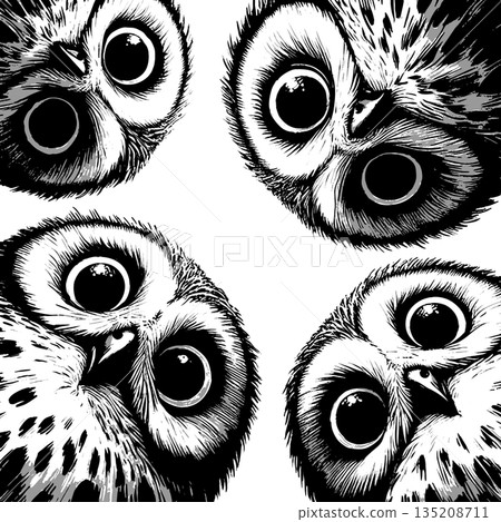 Curious Owls Looking Down engraving sketch raster Curious Owls Looking Down engraving sketch raster 135208711