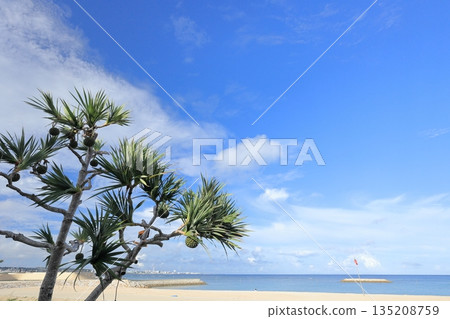 沖繩日落海灘景色 沖繩日落海灘景色 135208759
