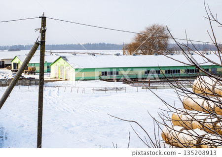 Frosty countryside with agricultural structures, Snowy farmland featuring barns and utility poles 135208913