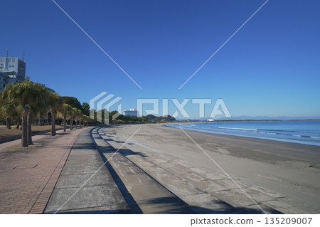 宮崎縣宮崎市青島海灘 135209007