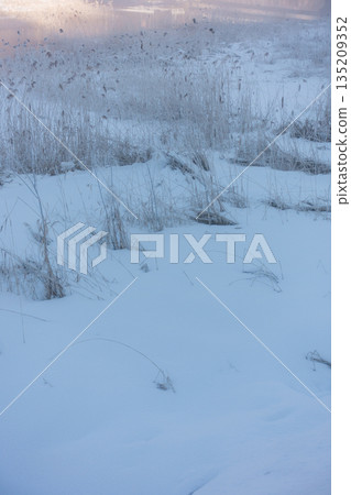 [Winter] Lakeside snowscape [Nagano Prefecture] 135209352