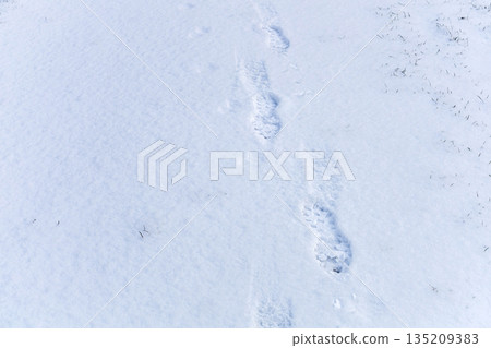 Winter park trail showing one person footsteps. Winter park trail showing one person footsteps. 135209383