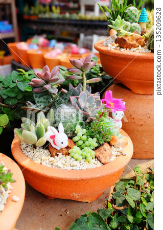 Blooming cactus and cacti and succulents with cute doll model decorated in a clay pot Blooming cactus and cacti and succulents with cute doll model decorated in a clay pot 135209628
