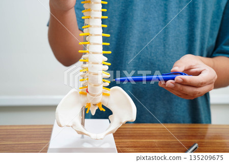Asian student learning with human bone and spinal nerve model in anatomy biology in classroom at high school. 135209675
