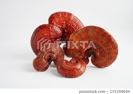 Lingzhi or Reishi mushroom with capsules, organic natural healthy food. 135209694