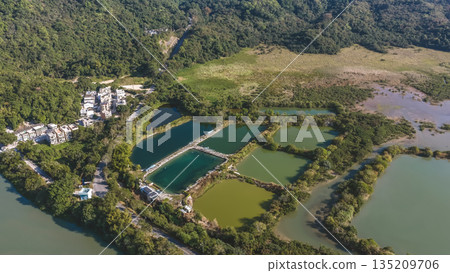 Jan 3 2026 Fish Pond Luk Keng Rural Wetland Landscape Hong Kong 135209706