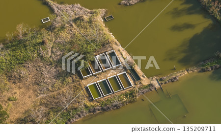 Jan 3 2026 Fish Pond Luk Keng Rural Wetland Landscape Hong Kong Jan 3 2026 Fish Pond Luk Keng Rural Wetland Landscape Hong Kong 135209711