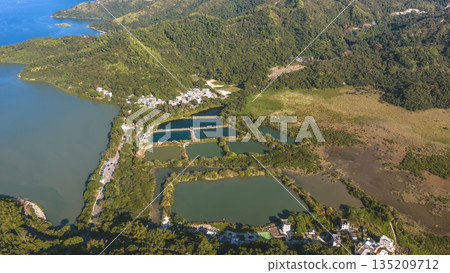 Jan 3 2026 Fish Pond Luk Keng Rural Wetland Landscape Hong Kong Jan 3 2026 Fish Pond Luk Keng Rural Wetland Landscape Hong Kong 135209712