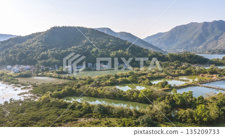 Jan 3 2026 Fish Pond Luk Keng Rural Wetland Landscape Hong Kong Jan 3 2026 Fish Pond Luk Keng Rural Wetland Landscape Hong Kong 135209733